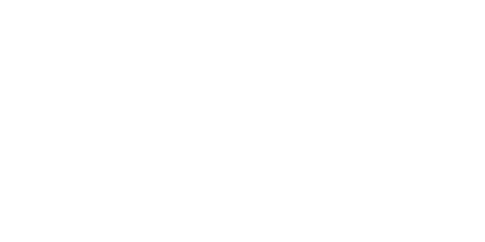 logo mojoesan